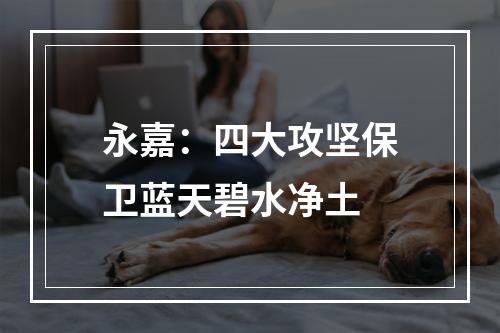 永嘉：四大攻坚保卫蓝天碧水净土