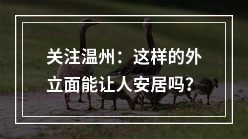 关注温州：这样的外立面能让人安居吗？