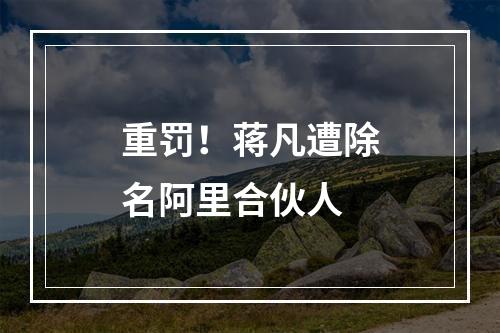 重罚！蒋凡遭除名阿里合伙人