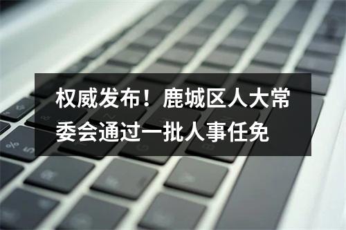 权威发布！鹿城区人大常委会通过一批人事任免