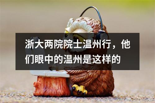 浙大两院院士温州行，他们眼中的温州是这样的