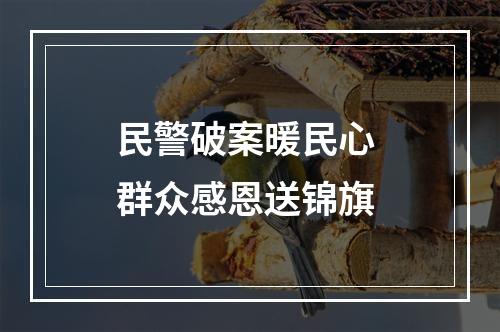 民警破案暖民心 群众感恩送锦旗
