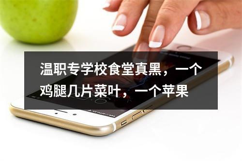 温职专学校食堂真黑，一个鸡腿几片菜叶，一个苹果