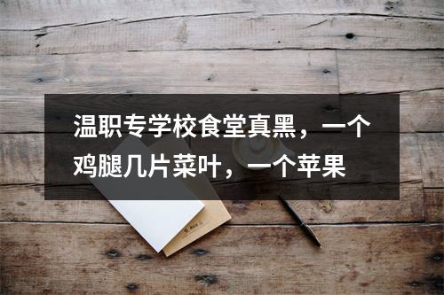温职专学校食堂真黑，一个鸡腿几片菜叶，一个苹果
