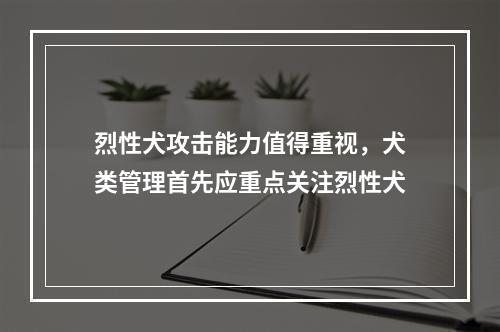 烈性犬攻击能力值得重视，犬类管理首先应重点关注烈性犬