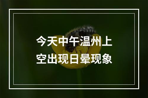 今天中午温州上空出现日晕现象