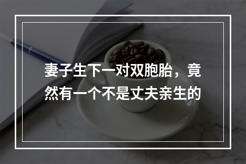 妻子生下一对双胞胎，竟然有一个不是丈夫亲生的