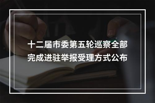 十二届市委第五轮巡察全部完成进驻举报受理方式公布