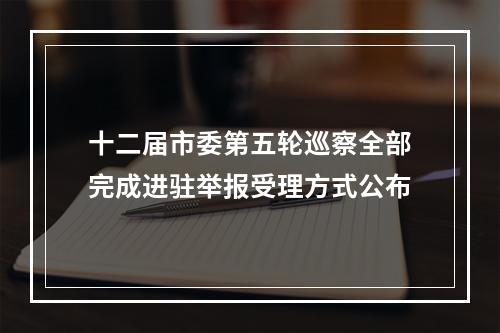 十二届市委第五轮巡察全部完成进驻举报受理方式公布