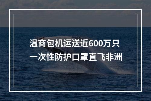 温商包机运送近600万只一次性防护口罩直飞非洲