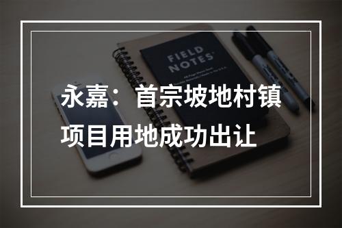 永嘉：首宗坡地村镇项目用地成功出让