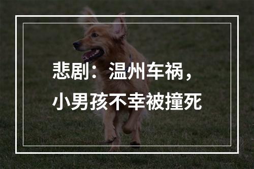 悲剧：温州车祸，小男孩不幸被撞死