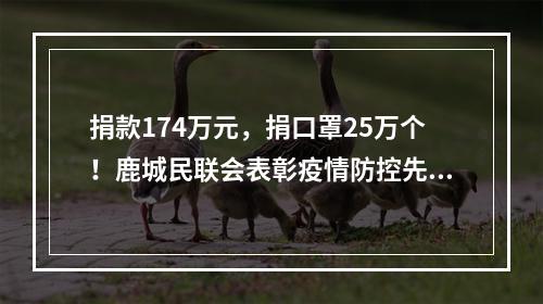 捐款174万元，捐口罩25万个！鹿城民联会表彰疫情防控先进集体和个人