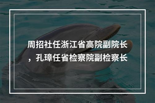 周招社任浙江省高院副院长，孔璋任省检察院副检察长