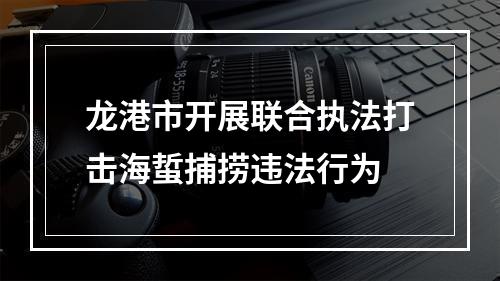 龙港市开展联合执法打击海蜇捕捞违法行为