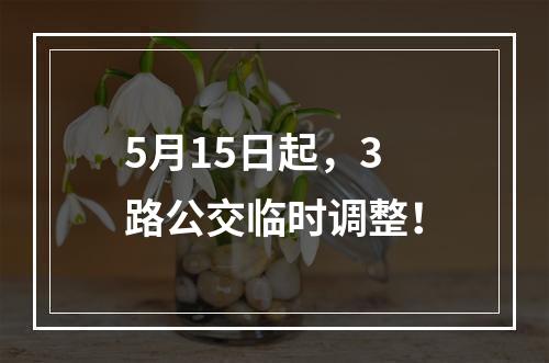 5月15日起，3路公交临时调整！
