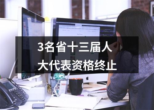 3名省十三届人大代表资格终止