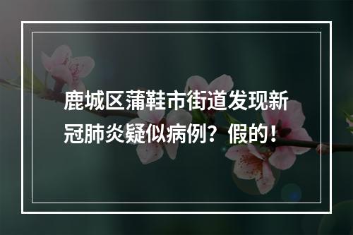 鹿城区蒲鞋市街道发现新冠肺炎疑似病例？假的！
