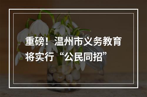 重磅！温州市义务教育将实行“公民同招”