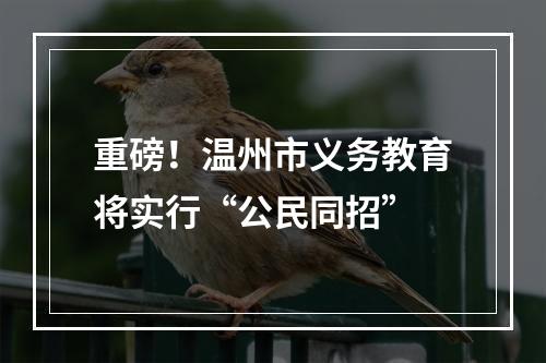 重磅！温州市义务教育将实行“公民同招”