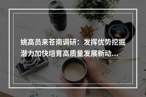 姚高员来苍南调研：发挥优势挖掘潜力加快培育高质量发展新动能