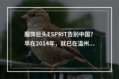 服饰巨头ESPRIT告别中国？早在2014年，就已在温州全面撤柜！