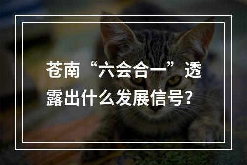 苍南“六会合一”透露出什么发展信号？