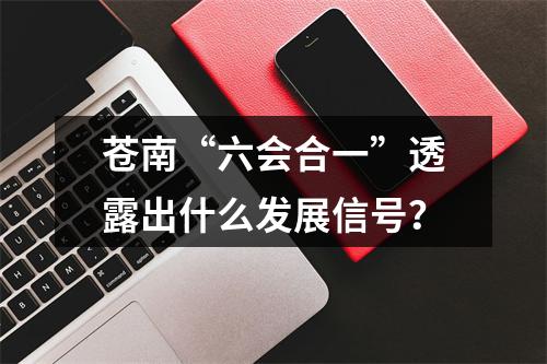 苍南“六会合一”透露出什么发展信号？