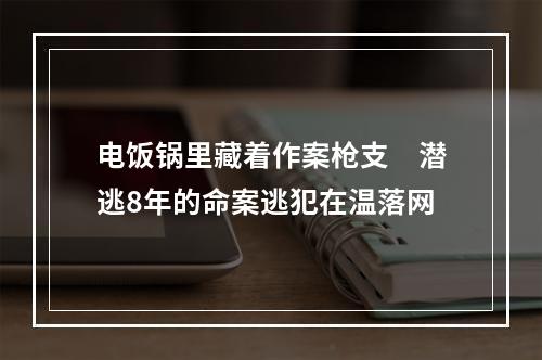 电饭锅里藏着作案枪支　潜逃8年的命案逃犯在温落网