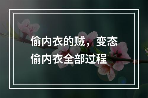 偷内衣的贼，变态偷内衣全部过程
