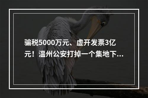 骗税5000万元、虚开发票3亿元！温州公安打掉一个集地下钱庄、骗税于一体的犯罪团伙