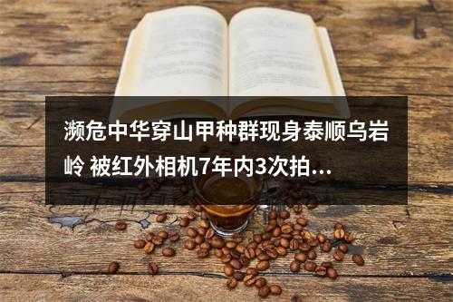 濒危中华穿山甲种群现身泰顺乌岩岭 被红外相机7年内3次拍到