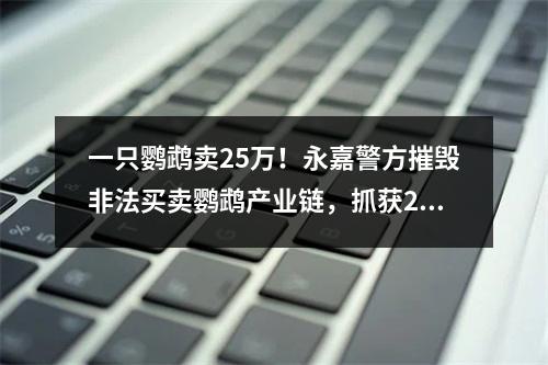 一只鹦鹉卖25万！永嘉警方摧毁非法买卖鹦鹉产业链，抓获27人！