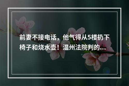 前妻不接电话，他气得从5楼扔下椅子和烧水壶！温州法院判的漂亮