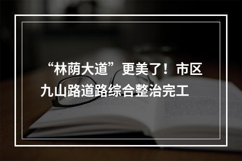 “林荫大道”更美了！市区九山路道路综合整治完工