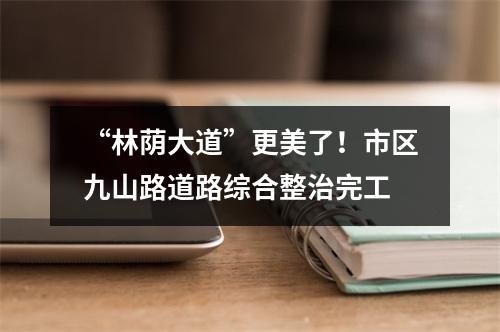 “林荫大道”更美了！市区九山路道路综合整治完工