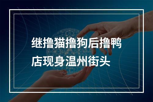 继撸猫撸狗后撸鸭店现身温州街头
