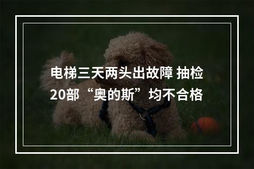 电梯三天两头出故障 抽检20部“奥的斯”均不合格