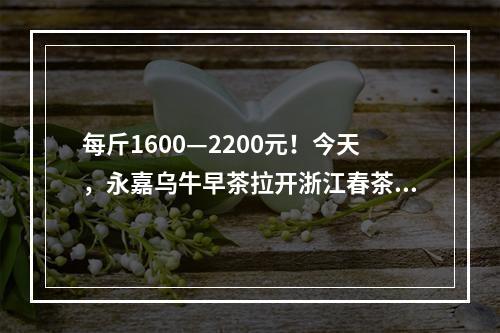 每斤1600—2200元！今天，永嘉乌牛早茶拉开浙江春茶采收序幕