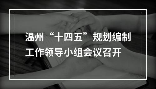 温州“十四五”规划编制工作领导小组会议召开