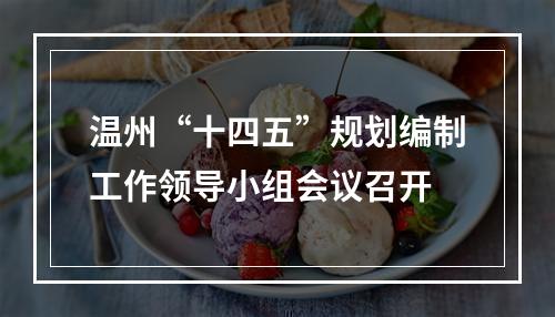 温州“十四五”规划编制工作领导小组会议召开
