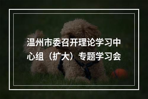 温州市委召开理论学习中心组（扩大）专题学习会