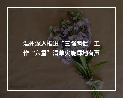 温州深入推进“三强两促”工作“六重”清单实施掷地有声