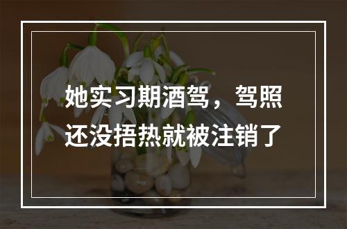 她实习期酒驾，驾照还没捂热就被注销了