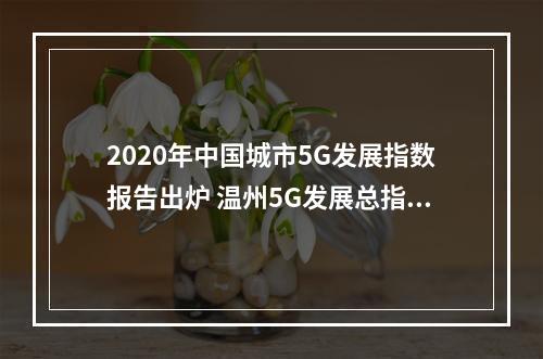 2020年中国城市5G发展指数报告出炉 温州5G发展总指数排名27位