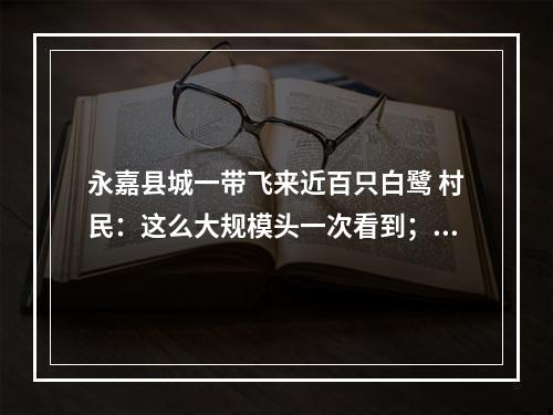 永嘉县城一带飞来近百只白鹭 村民：这么大规模头一次看到；专家：生态环境持续改善