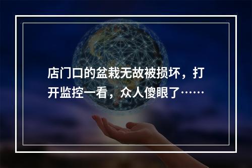 店门口的盆栽无故被损坏，打开监控一看，众人傻眼了……