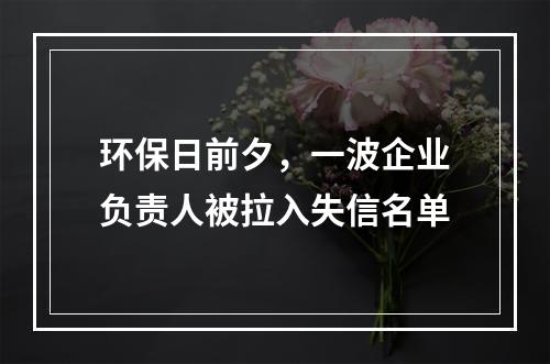 环保日前夕，一波企业负责人被拉入失信名单