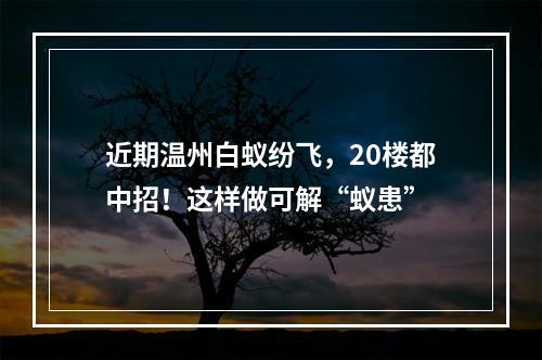 近期温州白蚁纷飞，20楼都中招！这样做可解“蚁患”