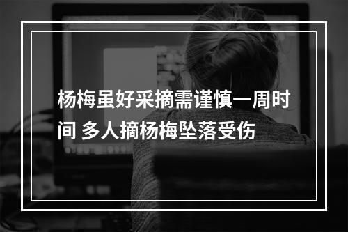 杨梅虽好采摘需谨慎一周时间 多人摘杨梅坠落受伤